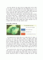 [색채치료/色彩治療/Color Therapy] 뇌졸중환자의 색채심리치료 - 뇌졸중환자의 색채증상, 색채심리치료프로그램을 적용하기 전 모습과 적용과정 및 적용한 후 모습 6페이지