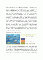 [색채치료/色彩治療/Color Therapy] 학교 내 따돌림 당하는 초등학생의 색채심리치료 - 학교 내 따돌림 당하는 초등학생의 심리적 증상, 색채심리치료프로그램을 실시하기 전과 후, 색채심리치료프로그램 적용 과정 8페이지