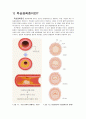 [성인간호학] 죽상경화증(atherosclerosis)에 대하여 2페이지