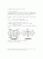 ★추천레포트★[청소년 방과후 아카데미] 청소년 방과후 아카데미 배경, 방과후 아카데미 사업 특징, 방과후 아카데미 사업 사례, 방과후 아카데미 사업 예시, 시흥시 방과후 아카데미사업,2012년도 사업계획
 6페이지