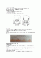 당뇨 보고서 (문헌고찰) 5페이지