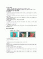 당뇨 보고서 (문헌고찰) 10페이지
