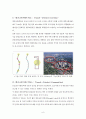 대중교통지향형도시개발 TOD (Transit Oriented Development) 8페이지