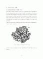 대중교통지향형도시개발 TOD (Transit Oriented Development) 17페이지