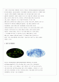 폐결핵 케이스 (Tuberculosis CASE STUDY), 폐결핵 간호진단, 폐결핵 간호과정, TB case TB 케이스스터디, Tuber culosis case study, 폐결핵 간호사정, 폐결핵간호과정 케이스스터디 4페이지