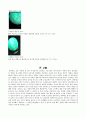 [일반생물학 및 실험보고서 Experiment Report] 현미경 - 현미경의 종류, 구조, 기능 및 세포의 길이 측정 ; 현미경에 관한 전반적인 지식 및 사용법을 습득하고, 양파세포를 관찰하고 길이를 측정한다. 8페이지