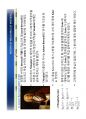 History of Materials Mechanics - 고체역학의 역사, 재료역학의 역사.pdf 10페이지