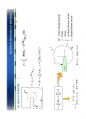 History of Materials Mechanics - 고체역학의 역사, 재료역학의 역사.pdf 35페이지