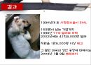 리바이스 LEVI’S 경영전략사례,리바이스기업분석,리바이스 소비자마케팅전략,.pptx 5페이지