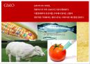 맥도날드(McDonald’s)가 집중적인 비난을 받게 된 이유 - 빅맥이 불러온 비극들, 환경단체의 반발, 환경단체 VS 맥도날드, 맥도날드사의 GMO 사용, 환경단체 VS 맥도날드, 맥도날드 패스트푸드, 맥도날드 건강.pptx 5페이지