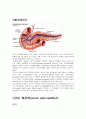 췌장염 acute/Chronic pancreatitis  2페이지