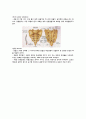 척추(척주와 척수) 3페이지