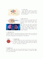 신장장애조사 2페이지
