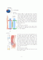 신장장애조사 3페이지