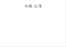 사례관리 과정 19페이지