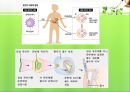 [유전자치료] 유전자 치료의 전망 - 유전자 치료 개념, 유전차치료 장점, 유전자 치료 단점, 유전자 치료 현황, 유전자 치료 전망.ppt 4페이지