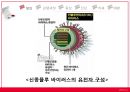 [신종新種플루] 신종플루 정의, 신종플루 감염 경로, 신종플루 증상, 신종플루 진단, 신종플루 치료법 6페이지