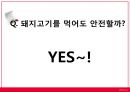 [신종新種플루] 신종플루 정의, 신종플루 감염 경로, 신종플루 증상, 신종플루 진단, 신종플루 치료법 21페이지