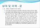 [해양질병-해양산성화를 중점으로] 해양산성화 (Ocean acidification) - 해양산성화 실태, 해양산성화 문제점, 해양산성화 완화대책, 해양산성화 전망.pptx 7페이지