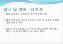 [해양질병-해양산성화를 중점으로] 해양산성화 (Ocean acidification) - 해양산성화 실태, 해양산성화 문제점, 해양산성화 완화대책, 해양산성화 전망.pptx 10페이지