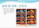 [해양질병-해양산성화를 중점으로] 해양산성화 (Ocean acidification) - 해양산성화 실태, 해양산성화 문제점, 해양산성화 완화대책, 해양산성화 전망.pptx 11페이지