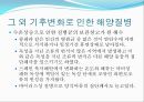 [해양질병-해양산성화를 중점으로] 해양산성화 (Ocean acidification) - 해양산성화 실태, 해양산성화 문제점, 해양산성화 완화대책, 해양산성화 전망.pptx 17페이지