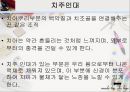 [치주질환 (periodontal disease)] 치주질환 정의, 치주질환 종류, 치주질환 원인, 치주질환 증상, 치주질환 치료.ppt 10페이지