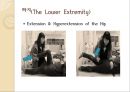[도수저항운동 (Manual Resistance Exercise)] 도수저항운동의 정의, 도수저항운동, 기계적 저항운동, 저항운동 장비 이용.pptx 25페이지