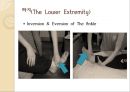 [도수저항운동 (Manual Resistance Exercise)] 도수저항운동의 정의, 도수저항운동, 기계적 저항운동, 저항운동 장비 이용.pptx 31페이지
