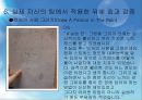 [★발표자료★][미술치료 Art Therapy] 미술치료의 개념과 미술치료의 특징 및 절차와 미술치료 효과, 실제 자신의 팀에서 적용한 뒤에 효과 검증.pptx 30페이지