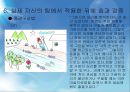 [★발표자료★][미술치료 Art Therapy] 미술치료의 개념과 미술치료의 특징 및 절차와 미술치료 효과, 실제 자신의 팀에서 적용한 뒤에 효과 검증.pptx 38페이지