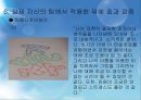[★발표자료★][미술치료 Art Therapy] 미술치료의 개념과 미술치료의 특징 및 절차와 미술치료 효과, 실제 자신의 팀에서 적용한 뒤에 효과 검증.pptx 39페이지
