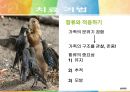[★발표자료★][미누친(Salvador minuchin)의 구조적 가족치료] 구조적 가족치료 특징, 구조적 가족치료 기법, 구조적 가족치료 사례, 구조적 가족치료 현재 위치와 전망.ppt 20페이지