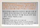 월마트(Wallmart)의 성공요인, 월마트의 모든 것 - 미국의 상징이 된 기업, 불황없는 소비를 창조하라.ppt
 13페이지