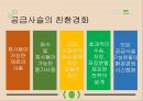 공급사슬관리 SCM - 불확실성관리, 공급자재고관리, 공급사슬관리의 미래, 공급사슬관리의 사례.pptx 20페이지