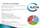 세계적인 환경보호 국제기구(세계적인 환경보호단체).pptx 4페이지