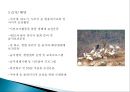 세계적인 환경보호 국제기구(세계적인 환경보호단체).pptx 20페이지
