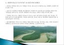 세계적인 환경보호 국제기구(세계적인 환경보호단체).pptx 25페이지