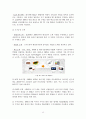 LG화학 마케팅사례 - 엘지화학의 산업마케팅 사례 및 전략 {LG화학 기업소개, 산업제품의 종류 및 특성, 산업마케팅사례 조사, 산업마케팅의 성공전략, 방법} 13페이지
