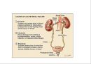 비뇨생식기계 질환 2 - 신부전(Renal Failure).ppt 4페이지