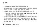 비뇨생식기계 질환 2 - 신부전(Renal Failure).ppt 36페이지
