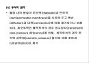 비뇨생식기계 질환 2 - 신부전(Renal Failure).ppt 42페이지