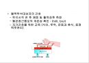 비뇨생식기계 질환 2 - 신부전(Renal Failure).ppt 45페이지