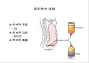 비뇨생식기계 질환 2 - 신부전(Renal Failure).ppt 47페이지