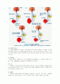 신경성 방광 - 신경성 방광 기능장애(neurogenic bladder dysfunction)는 신경계의 병변으로 인해서 방광기능의 장애가 온 것이다. 4페이지
