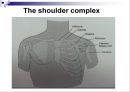 Upper extremity (shoulder, 견관절)에 대한 정리.ppt
 2페이지