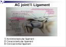 Upper extremity (shoulder, 견관절)에 대한 정리.ppt
 6페이지
