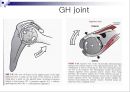Upper extremity (shoulder, 견관절)에 대한 정리.ppt
 14페이지
