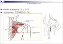 Upper extremity (shoulder, 견관절)에 대한 정리.ppt
 20페이지