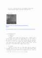 [성폭력문제]『아동성폭력범죄』 우리아이는 안전한가? - 아동성폭력범죄의 실태, 아동성폭력범죄 심각성, 아동성폭력범죄 사례, 아동성폭력범죄 특징, 아동성폭력범죄 대책방안 8페이지